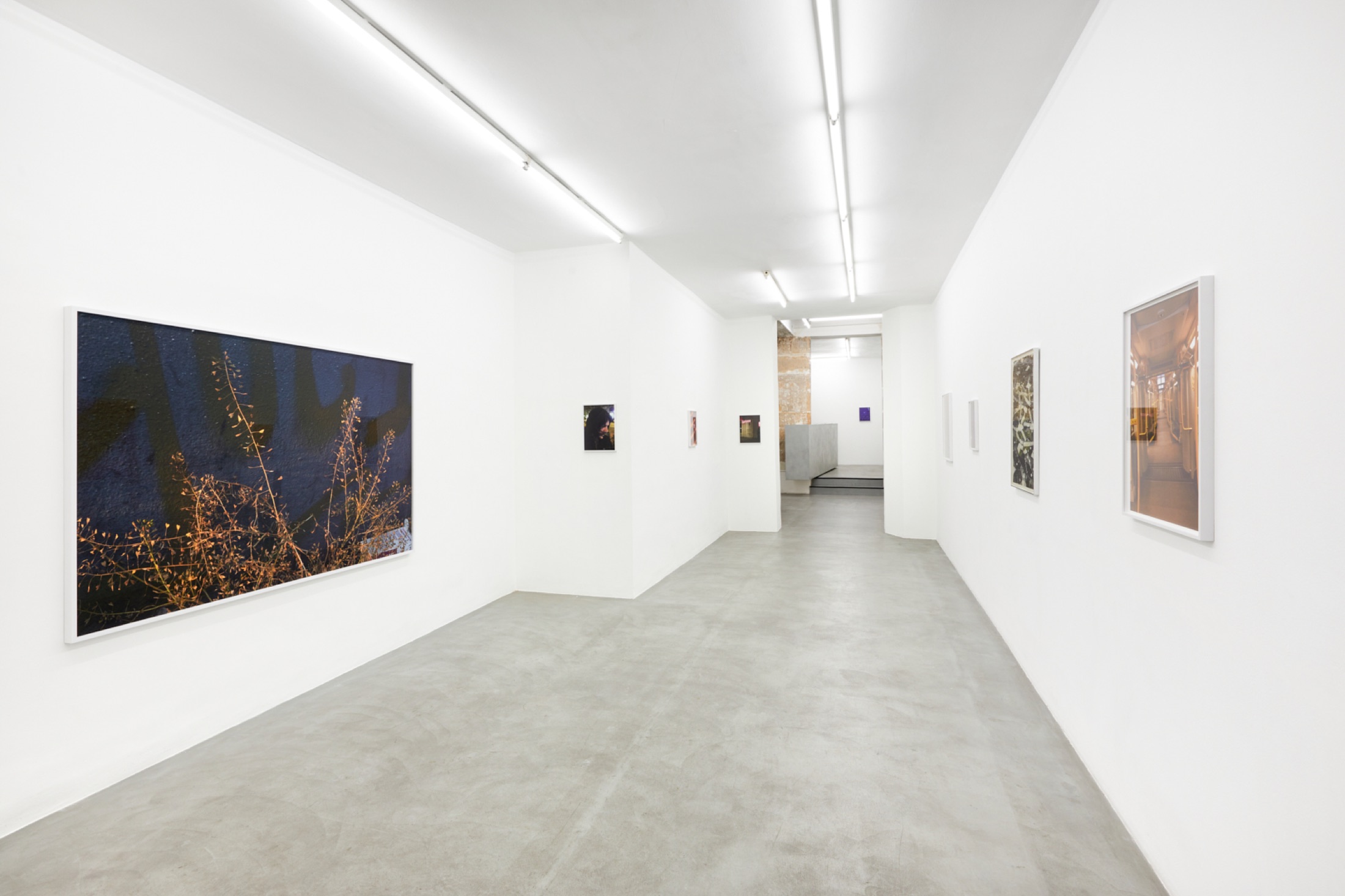 Installation view of Hues, Bremond Capela, Paris, France, 2024